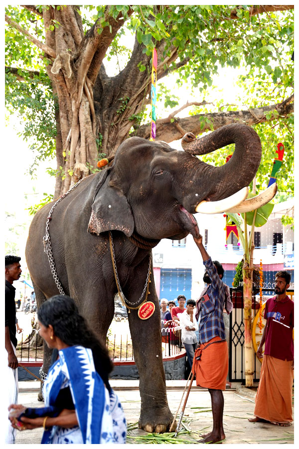 Payammal Sree Shathrugna Swamy Temple